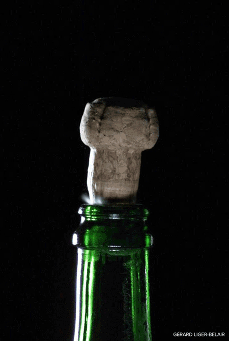 Cork Flying Champagne Popping GIF