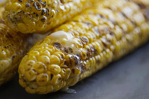 Yummy Grilled Corn With Butter Close Up GIF