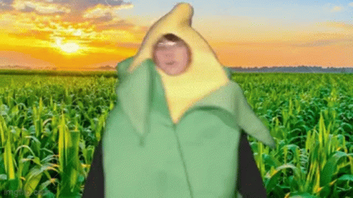 Cute Kid In Corn Suit Dancing GIF