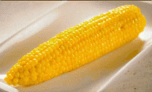 Spinning Yummy Yellow Corn GIF