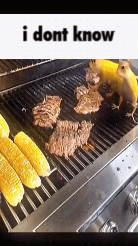 Corn and Meat on Grill I Dont Know