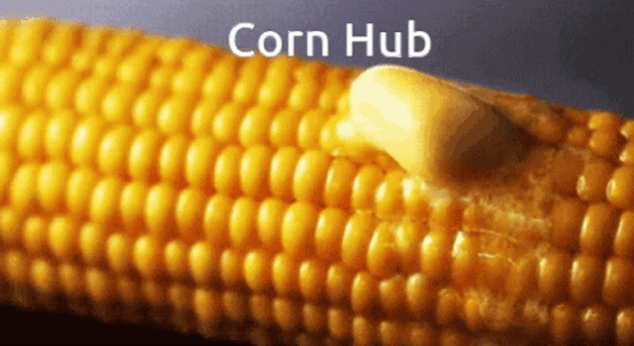 Corn Hub  GIF