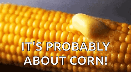Corn On The Cob With Saying It's Probably About Corn