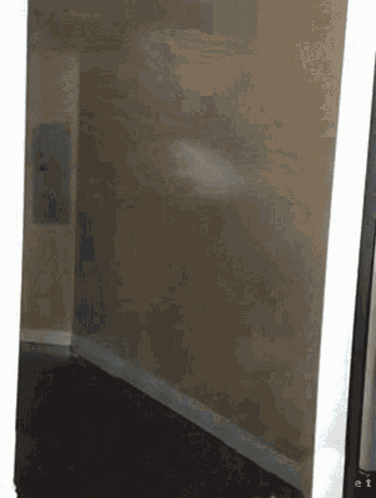 Corner of Room With White Wall and Black Floor