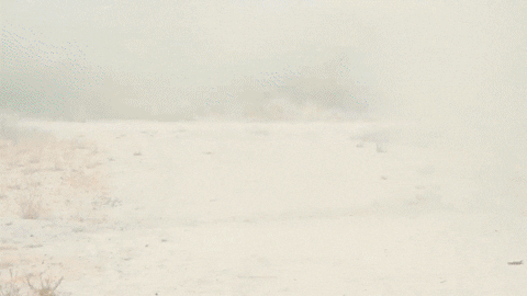 Cosplaying Kid Buu And Goku Meme GIF