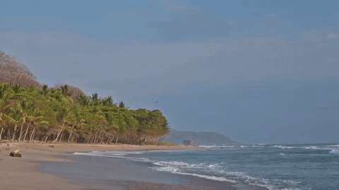 Costa Rica Beach Central America GIF