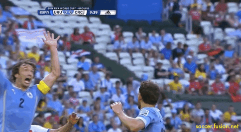 Costa Rica Football Game GIF