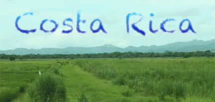 Costa Rica Land Travel GIF