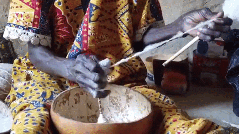 Cotton Making In Ghana For 91 Days GIF