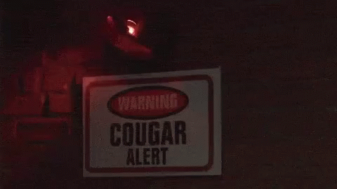Cougar Alert Warning Sign Rorating Light GIF