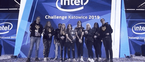 Counter Strike Global Offensive Champions Katowice 2019 GIF