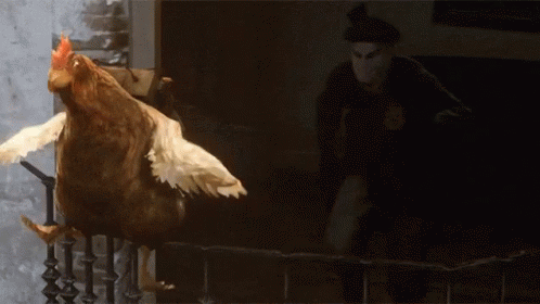 Counter Strike Global Offensive Separatist Chicken GIF