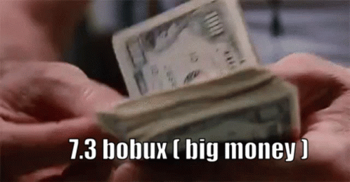 Counting Bobux Big Money GIF