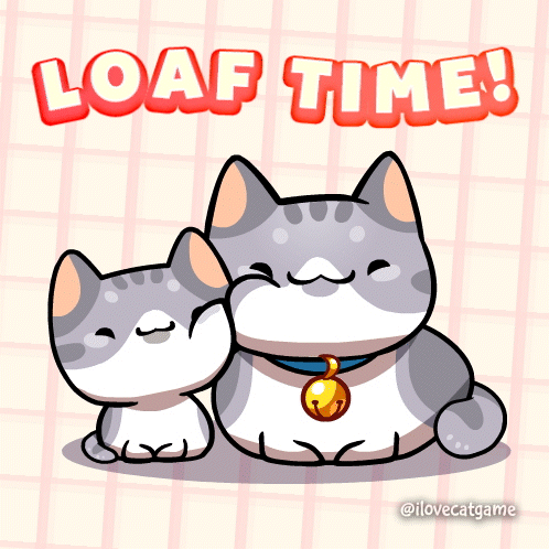 Couple Cats Sitting Together Loaf Time