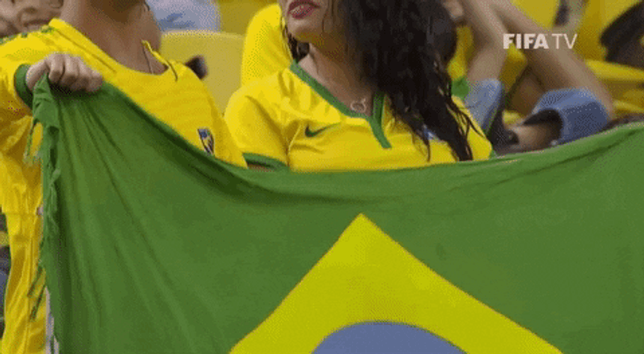 Couple Cheering For Brazil Team GIF