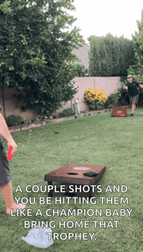 Couple Cornhole Shots Hitting Them Like Champions GIF
