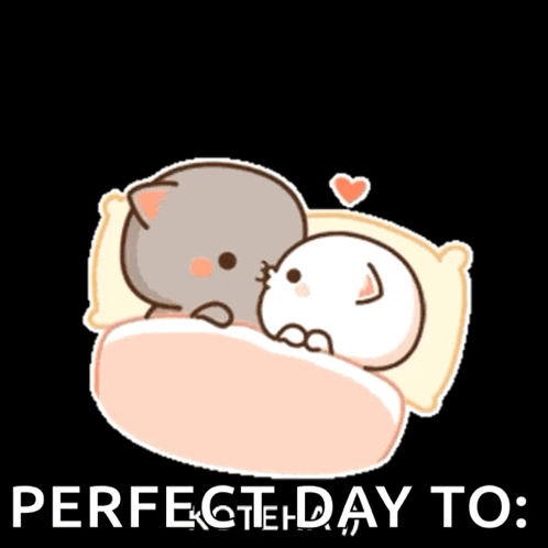 Couple Of Cats Laying In Bed Perfect Day To GIF