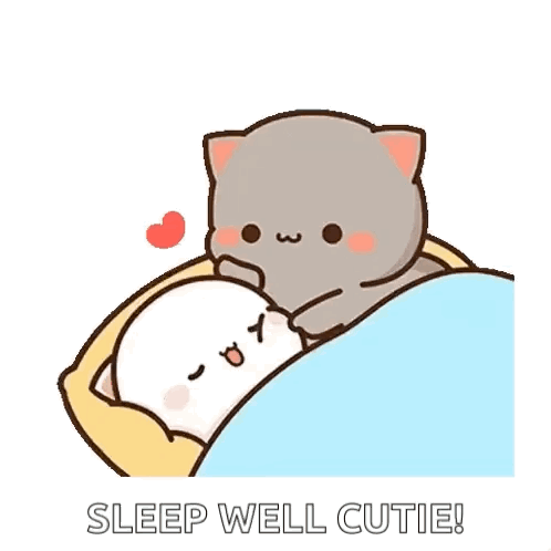 Couple of Cats Sleeping Sleep Well Cutie