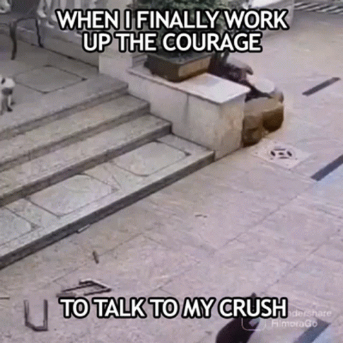 Courageous On Monday Meme GIF