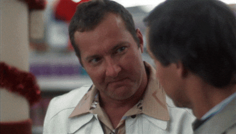 Cousin Eddie Rv Okay, Really Nice GIF