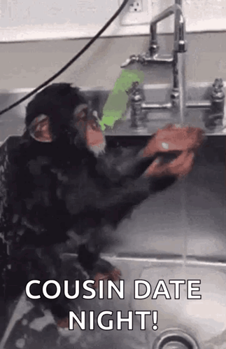 Cousin Monkey Date Night GIF