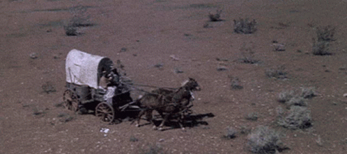 Covered Wagon Pulled by Donkey in Desert
