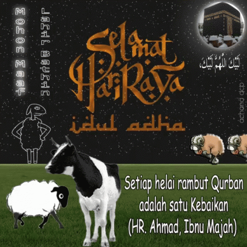 Cow and Sheep Setiap Helai Rambut Qurban