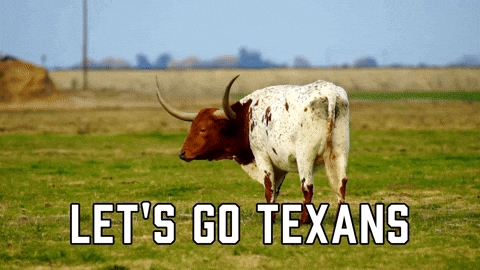 Cow Cheering Let's Go Texans GIF