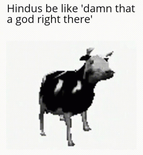 Cow Hindus Be Like Damn That A God GIF