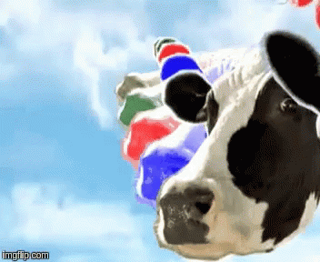 Cow In Top Hat With Balloons And Imgflip.com GIF