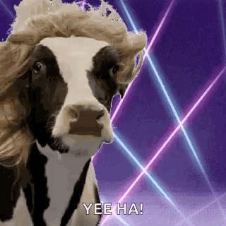 Cow in Wig and Crown on Neon Background