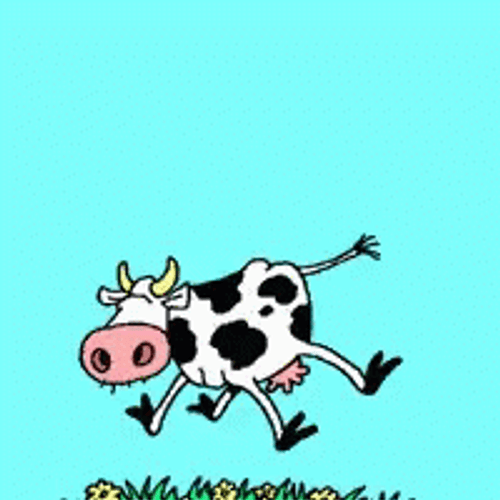 Cow Jumping Around GIF