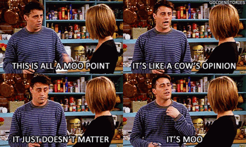 Cow's Opinion Joey GIF