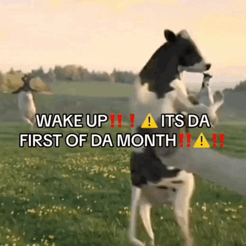 Cow Standing On Hind Legs Wake Up GIF