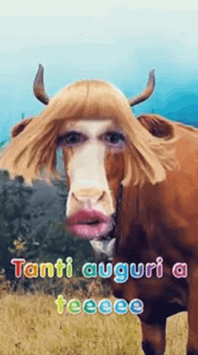 Cow with Man's Face and Wig