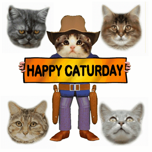 Cowboy Cat Holding Happy Caturday Sign