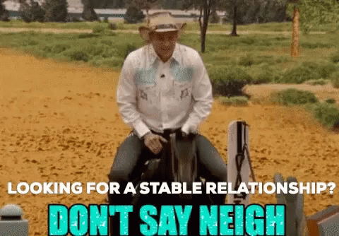Cowboy Don't Say Neigh GIF