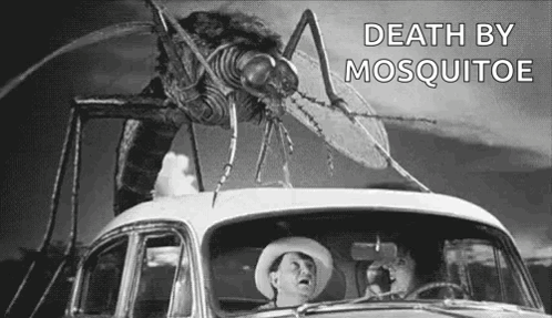 Cowboy Driving Car With Mosquito on Top