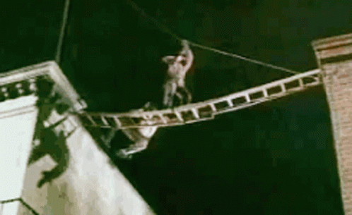 Cowboy Hat Man Hanging From Pole With Microphone GIF