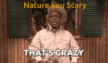 Cowboy Hat Man Sitting By Window Saying Nature You Scary That's Crazy GIF