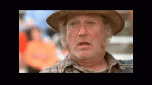 Cowboy Hat Plaid Shirt Man Funny Face