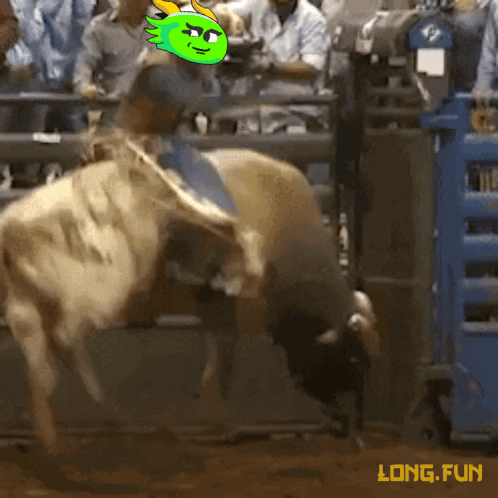 Cowboy Riding Bull Saying Long Fun