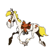 Cowboy Riding White Horse