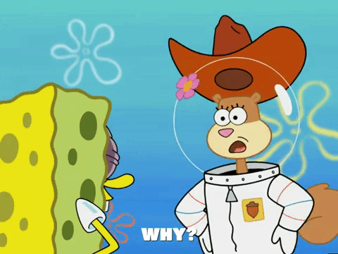 Cowboy Sandy Cheeks Why Squirrel Meme GIF
