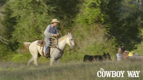 Cowboy Way Poster Man Riding Horse