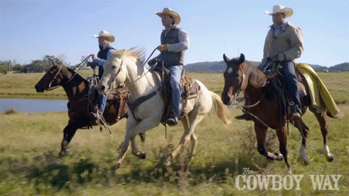 Cowboys Riding Horse Cody Harris GIF