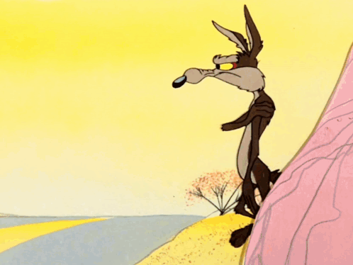 Coyote and Road Runner