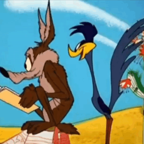 Coyote and Road Runner Looking