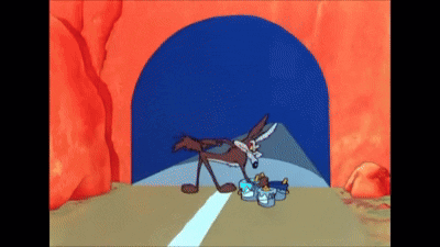 Coyote in Tunnel With Bucket of Food