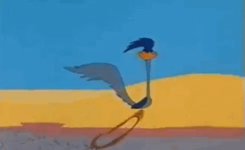 Coyote Running in Desert